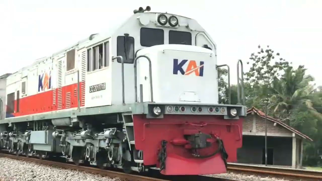 KERETA API PANJANG ‼️ MENEMUKAN 20 KERETA API NGEBUT DI TIKUNGAN