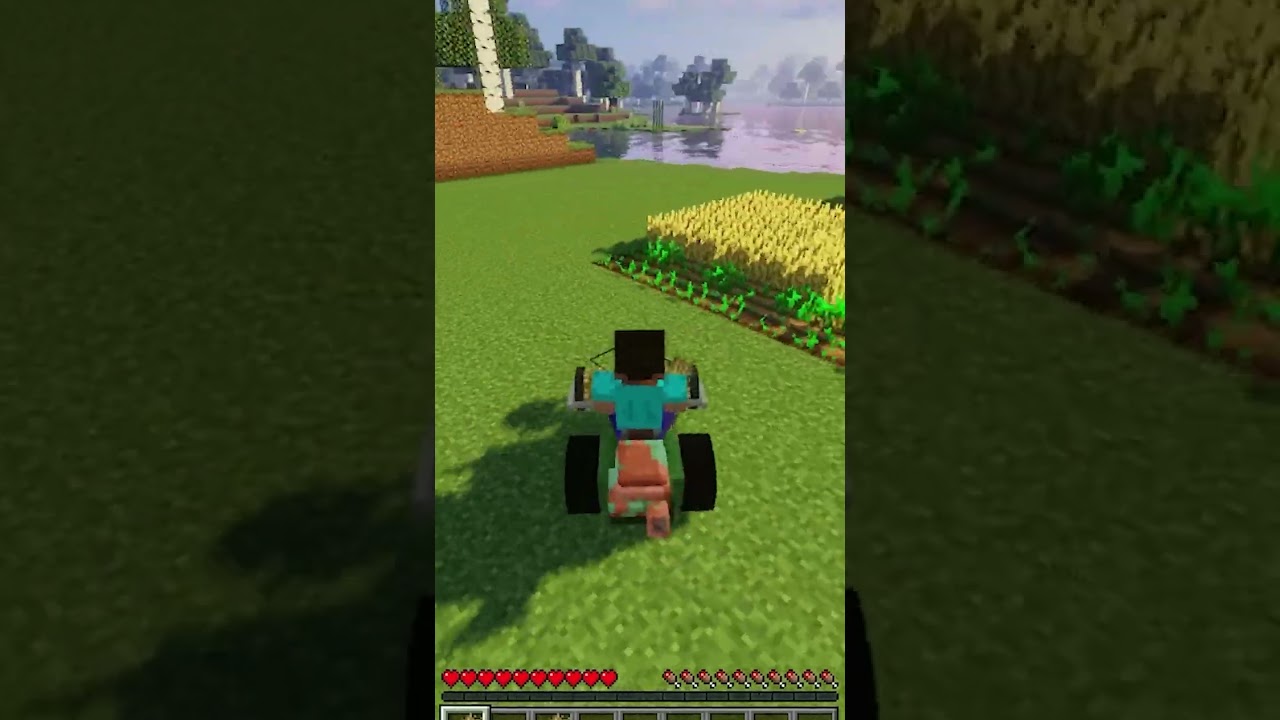 Oraj pole na traktore! 👨&zwj;🌾🌾