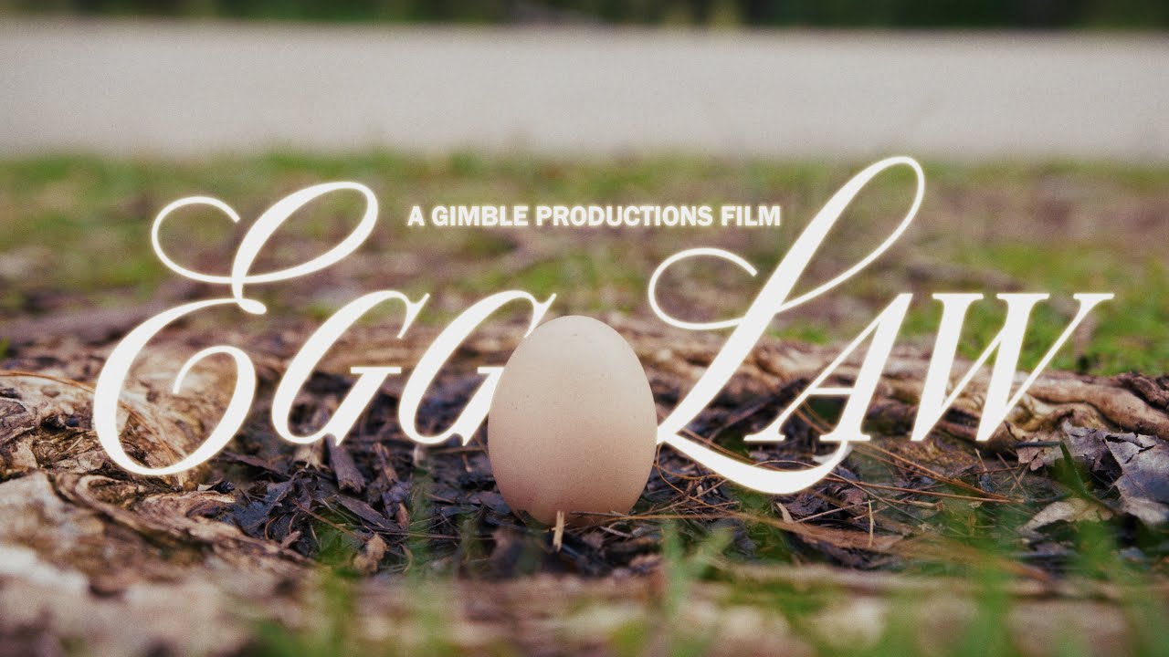 Egg Law - Short Comedy Film