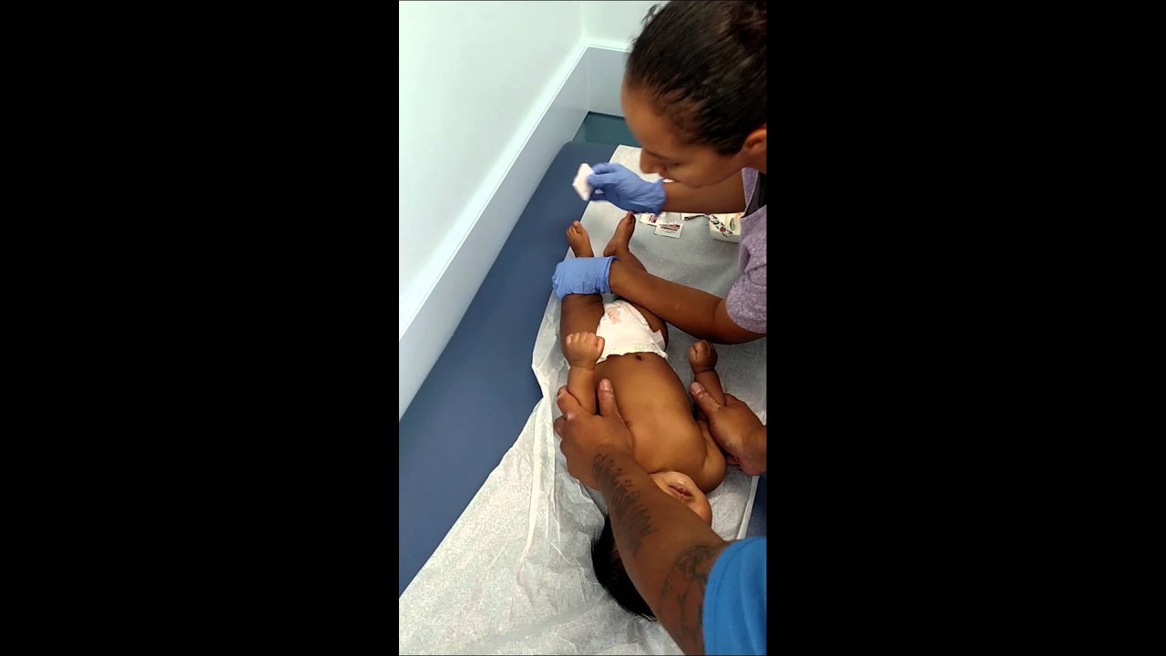 Santana getting his 4 month shots