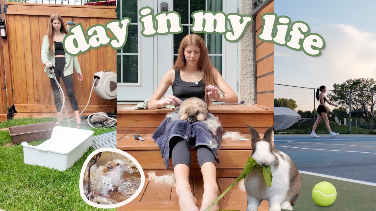Taking Care of 7 Pets When They're Not all at Home...