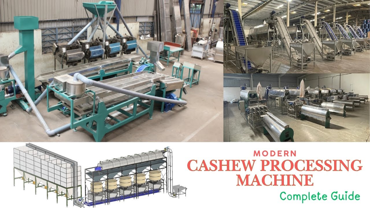 Modern Cashew Processing Machine : Complete Automated Cashew Nut Transformation Technology by TTQ