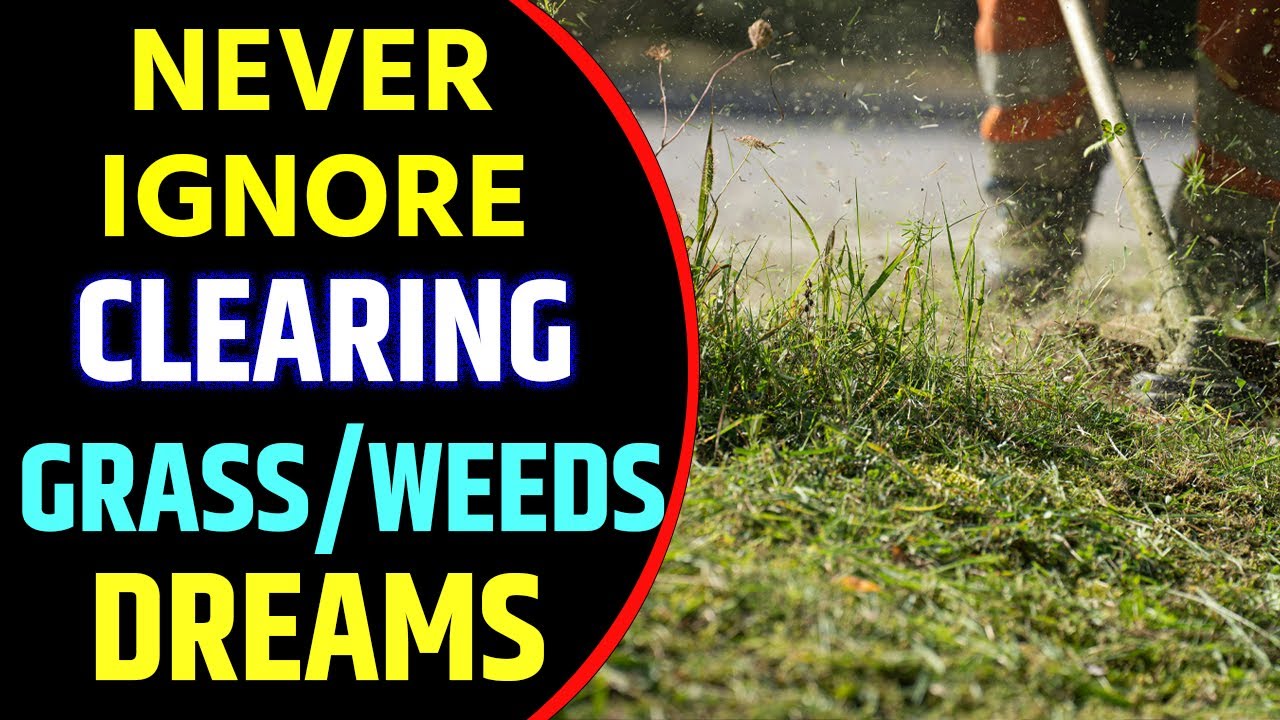Clearing Grass in Dream Meaning | Clearing Grass or Weeds Dream Interpretation
