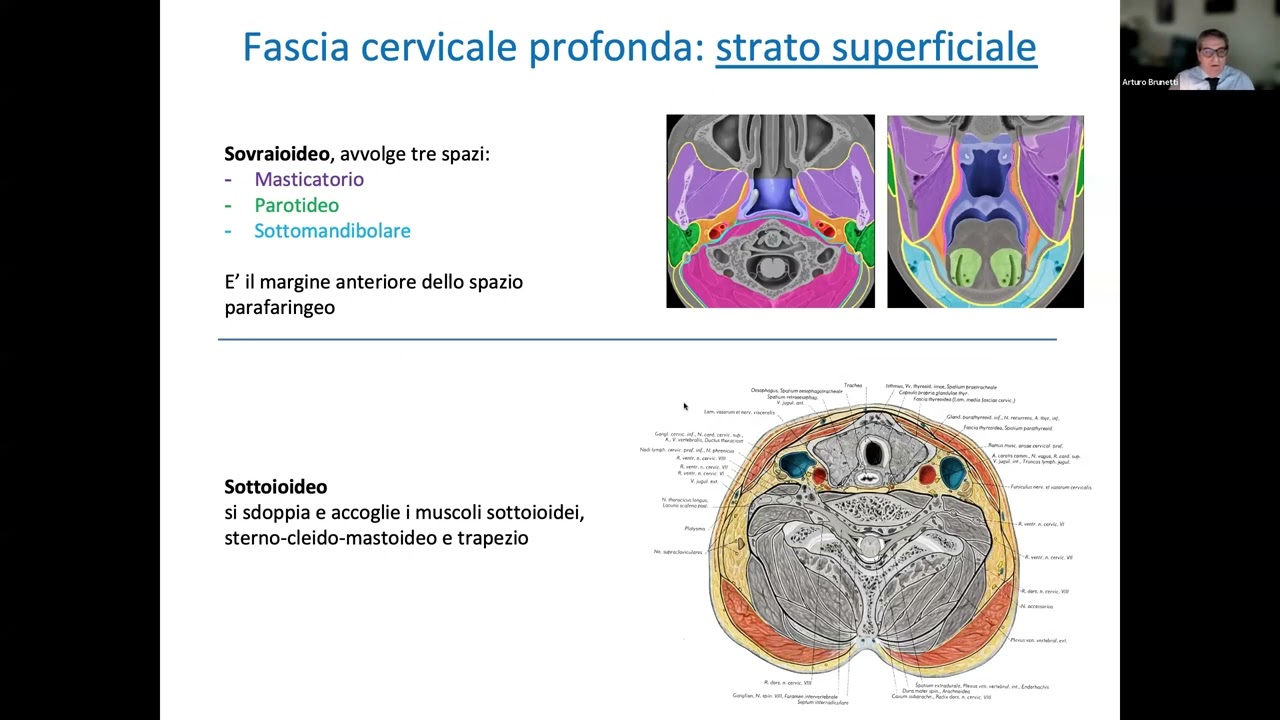 23.2) Le neoplasie del collo - Prof. Brunetti e Prof. Preda
