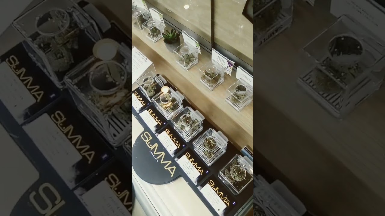 euphoria wellness vegas