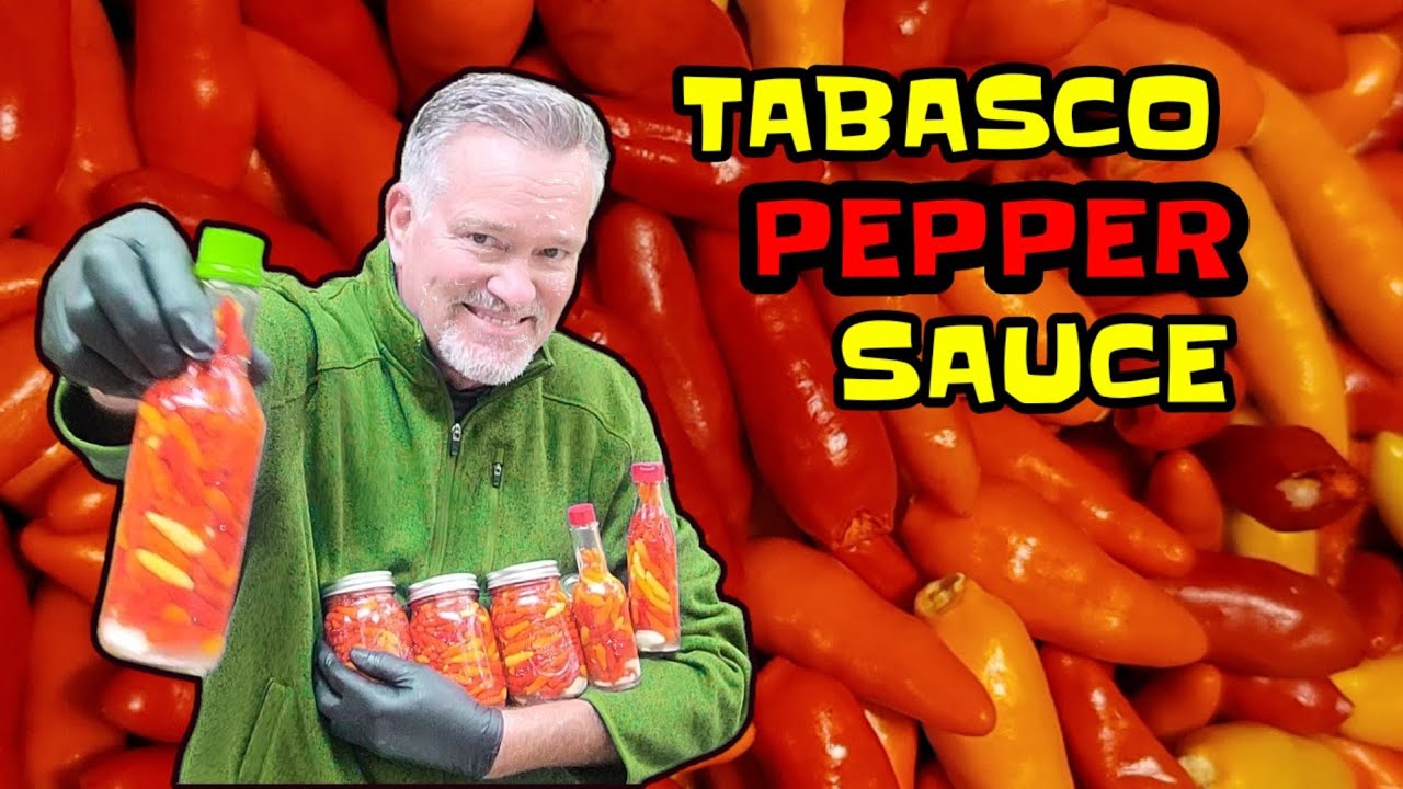 Вот мой верный рецепт перечного соуса табаско... Великолепные растения! #tabasco