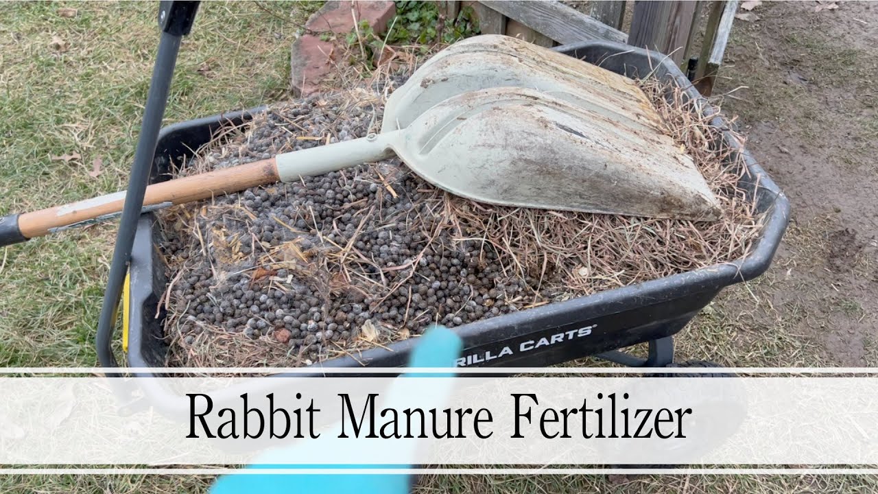 Rabbit Manure Fertilizer & Covering The Garden Beds