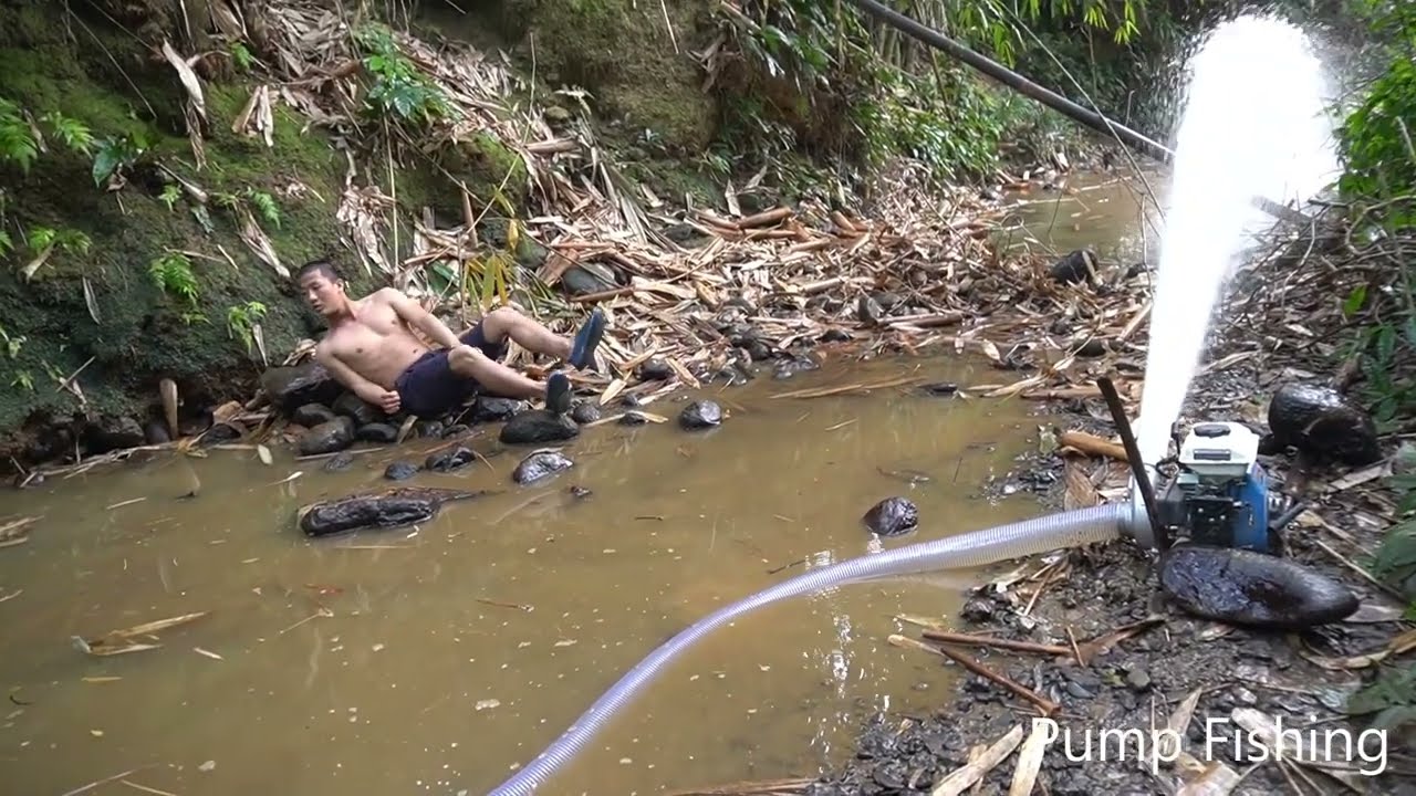 Wild Fishing Pump Exciting, Unique Use A Large Capacity Pump Catch Many Fish In The Wild La