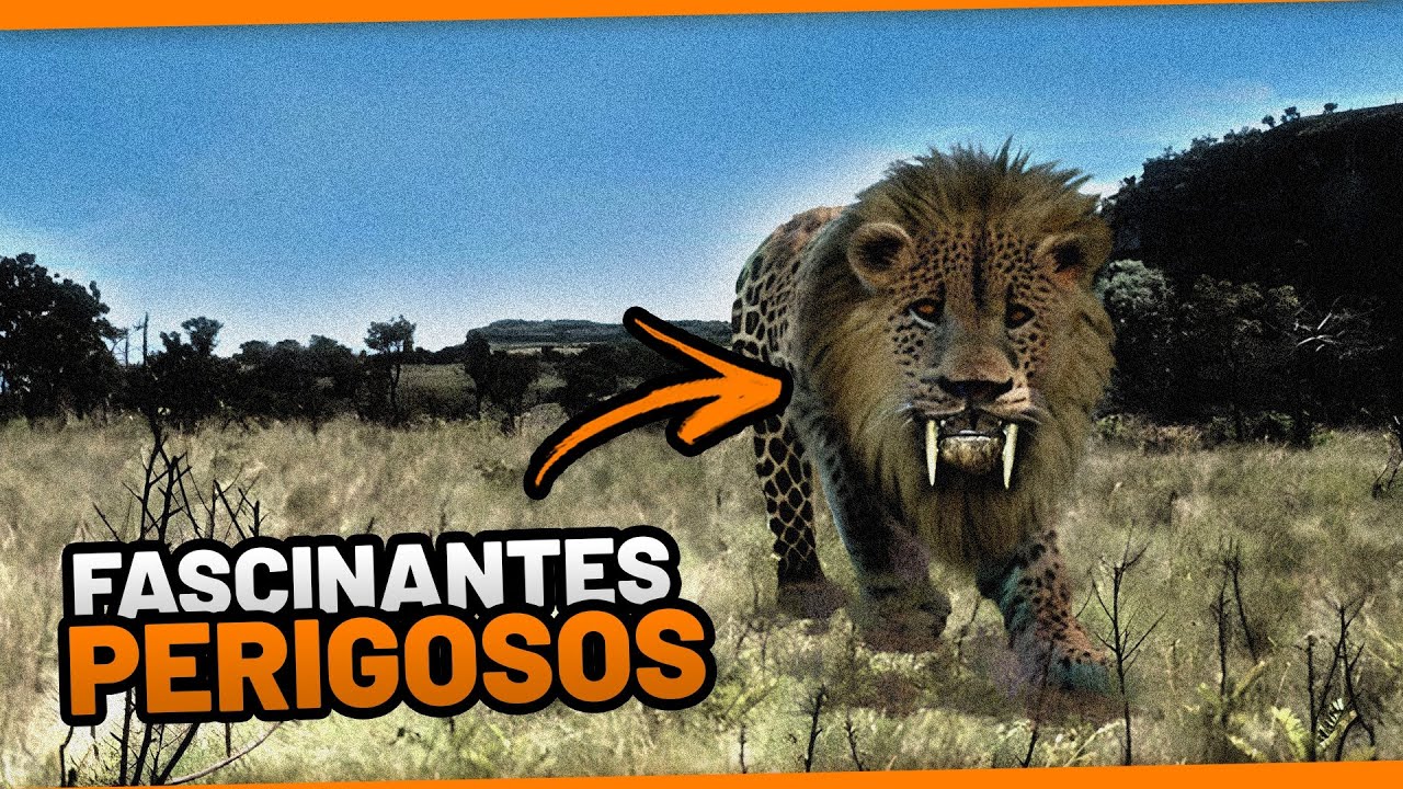 10 ANIMAIS H&Iacute;BRIDOS MAIS PERIGOSOS QUE EXISTEM