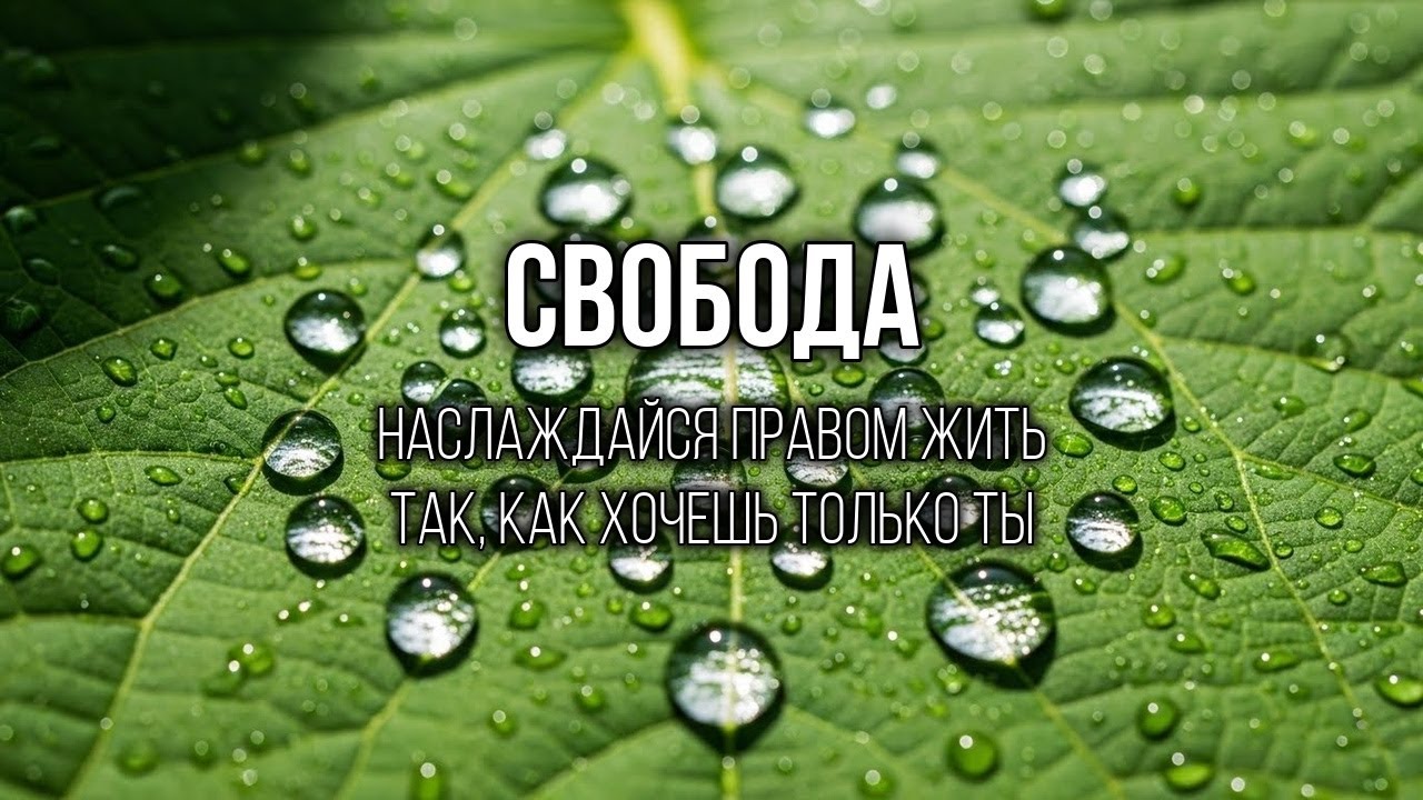 ДОВЕРИЕ: Верь себе, ты знаешь больше, чем думаешь
