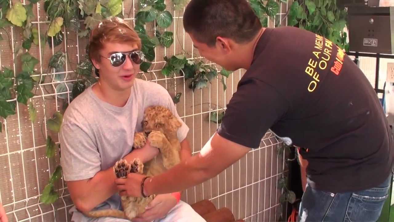 Tiger Wont Let Go