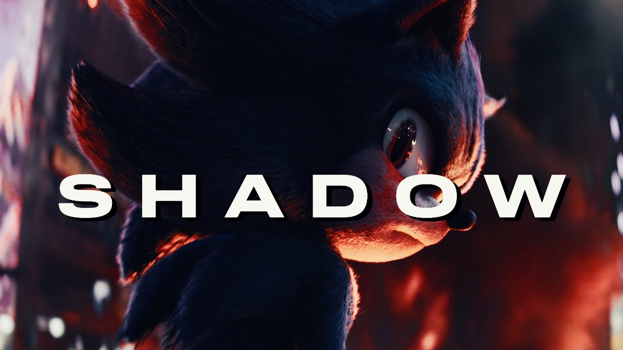 Shadow The Hedgehog Tribute