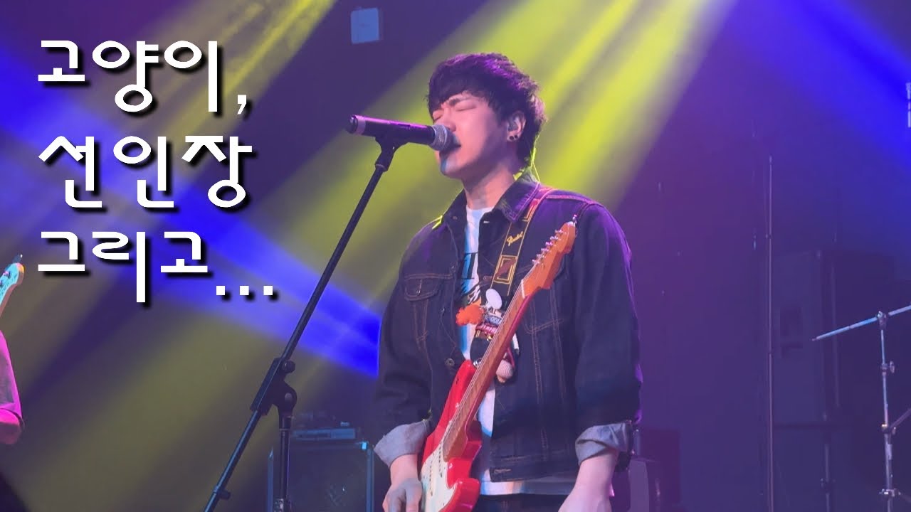 260222 극동아시아타이거즈 - 고양이, 선인장 그리고... (지수 focus) | 호랑이 흔적을 찾아서(부산) @금사락