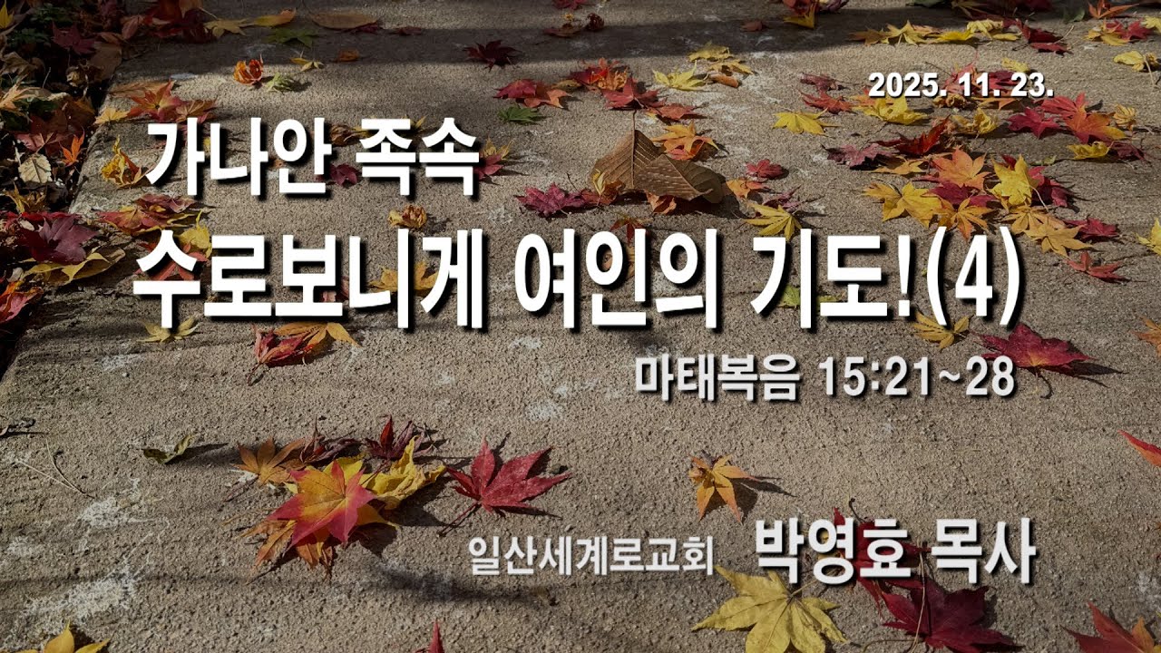 2025년 11월 23일 주일설교 |