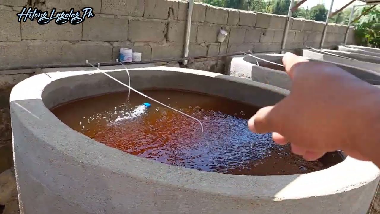 Modified Biofloc sa Mini Circular Concrete Pond / Tank