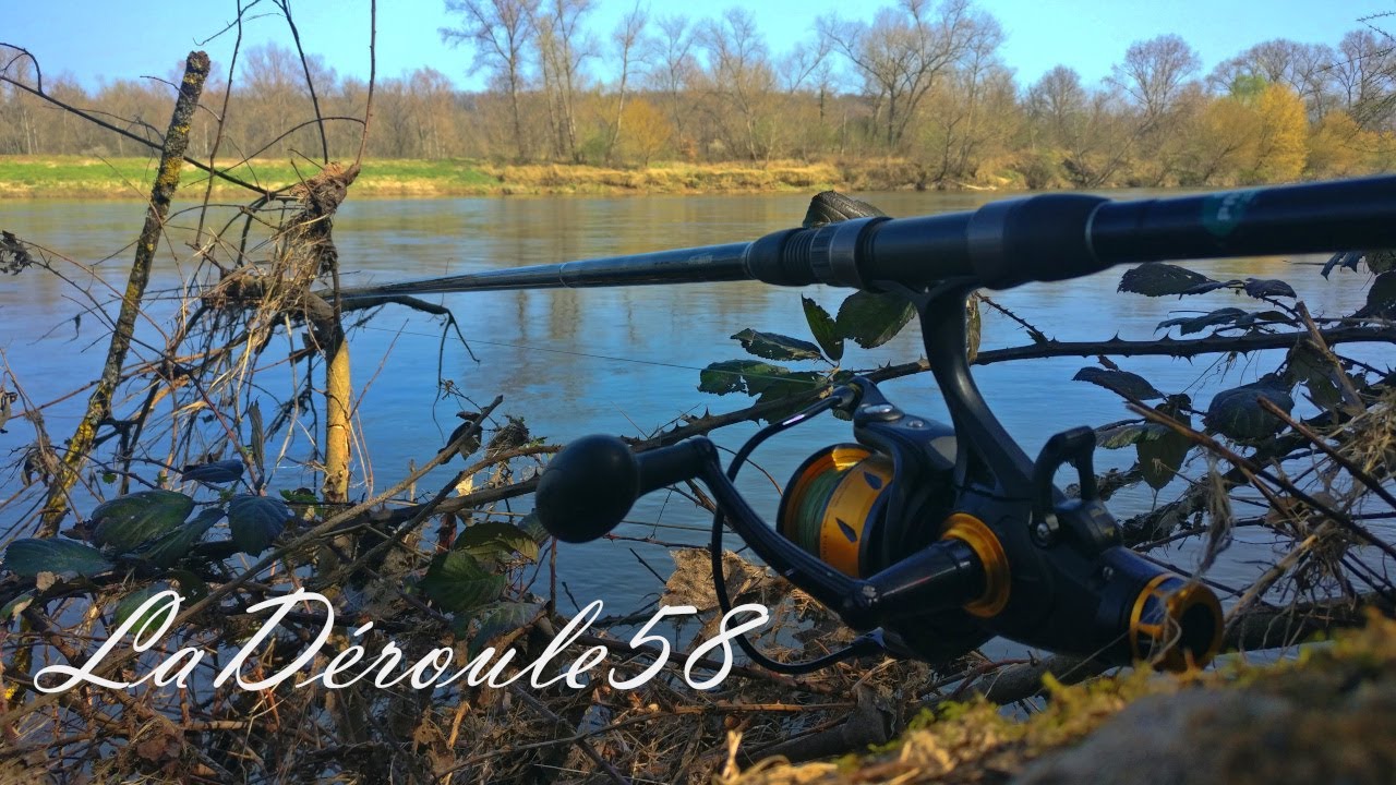 Pêche à la carpe de Loire dans les obstacles...Départ en direct !...