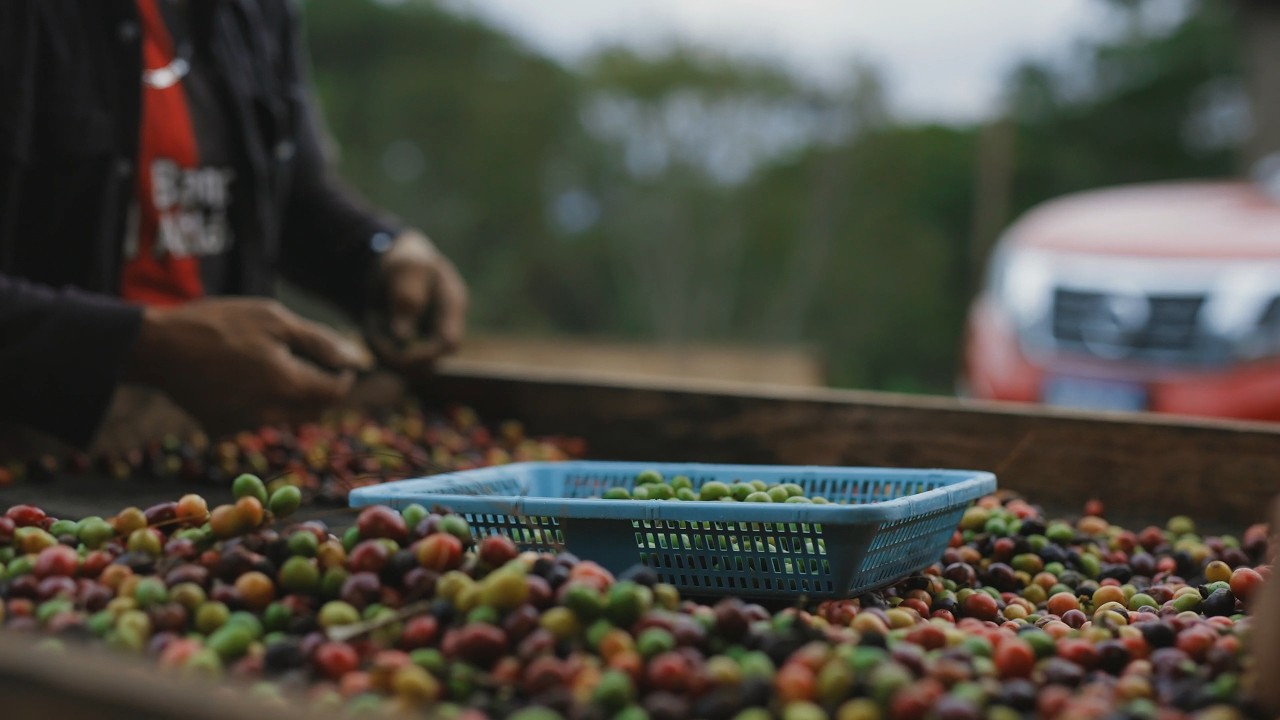 Coffee Needs People | A Short Honduran Speciality Coffee Documentary