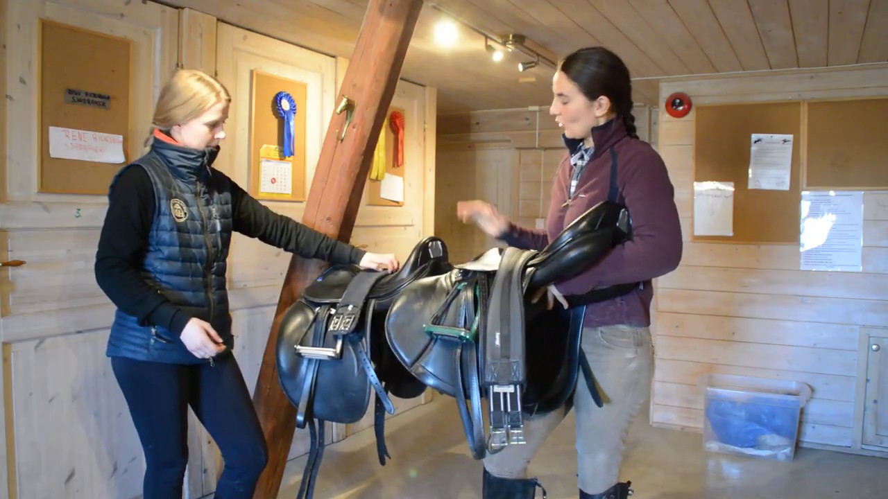 NIVÅ 2: Hva er forskjellen på sprang-og dressursal?