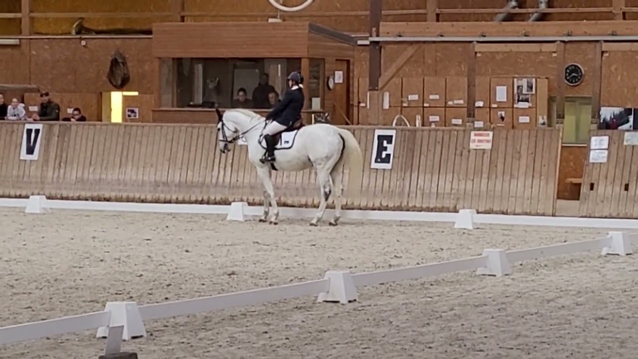 Club Elite Grand Prix Dressage Cylianne et Lucie Verdonck