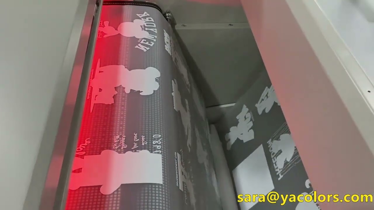 JN-702 60cm DTF Printer + BH2-8 Belt Powder Shaker