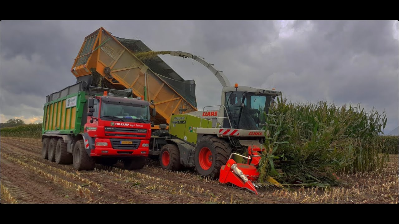 Mais hakselen (2021)🌽Tolkamp agri service Claas Jaguar 870, Ginaf x4446 TS en een John Deere 6175r🦌.
