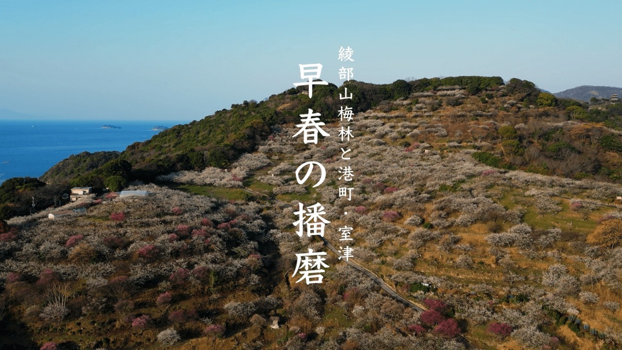 瀬戸内を望む梅の絶景｜綾部山梅林と港町・室津を巡る早春の播磨旅