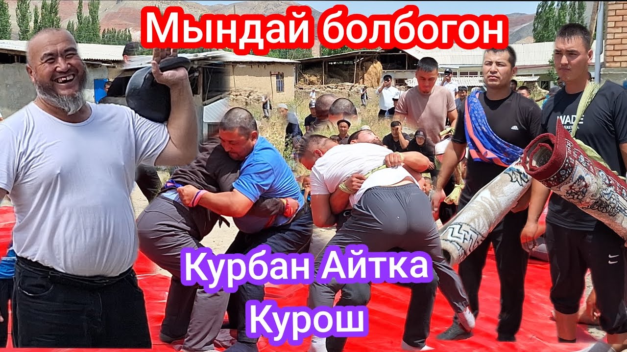 Курбан Айтка~Курош Ноокат Кызыл Тейт айылы 🤼