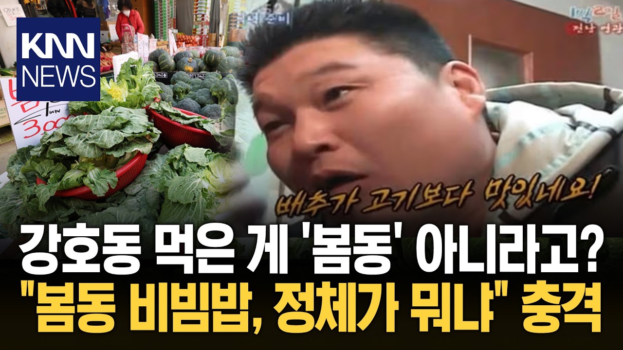 강호동 봄동 비빔밥의 진실 