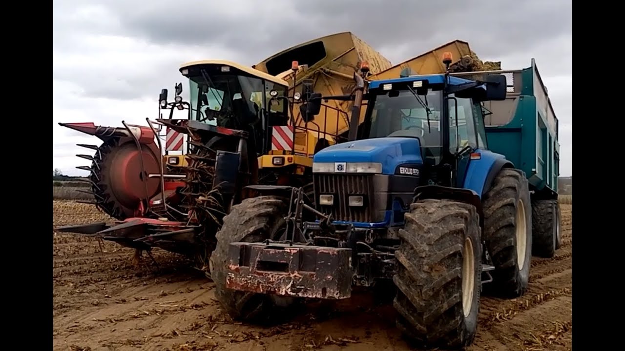 New holand FX50 et articul&eacute;e 5000 DL de l'ETA Desimpel Francis &agrave; l'ensilage de ma&iuml;s 2020!