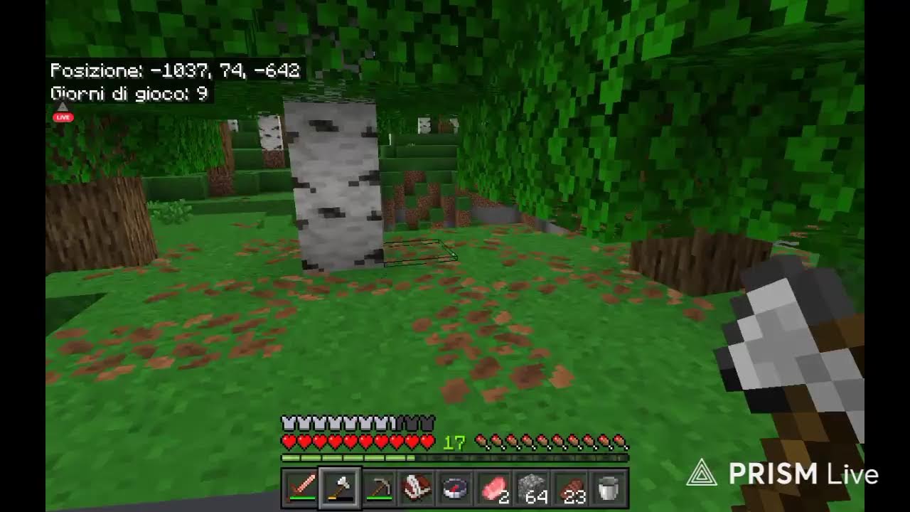Minecraft chillout entrate tutti #live #minecraft #subscribe