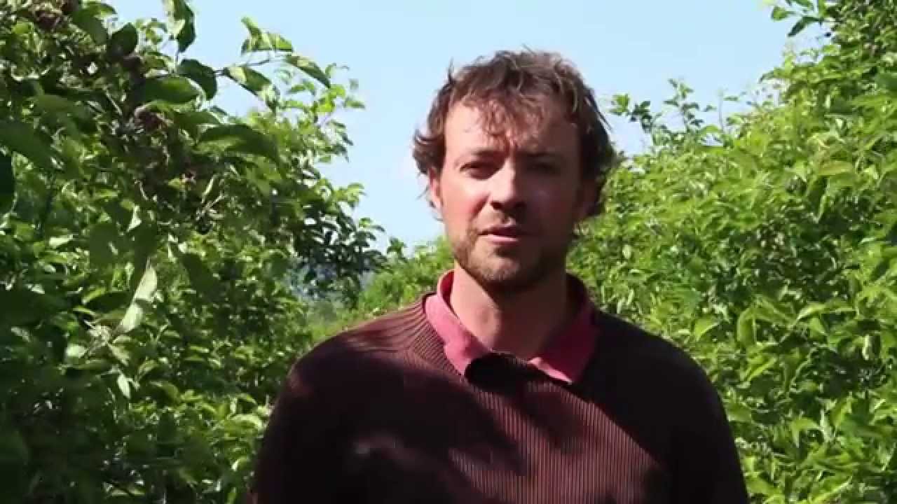 La Safer Rh&ocirc;ne-Alpes au service de l'emploi rural : Exemple Jarcieu