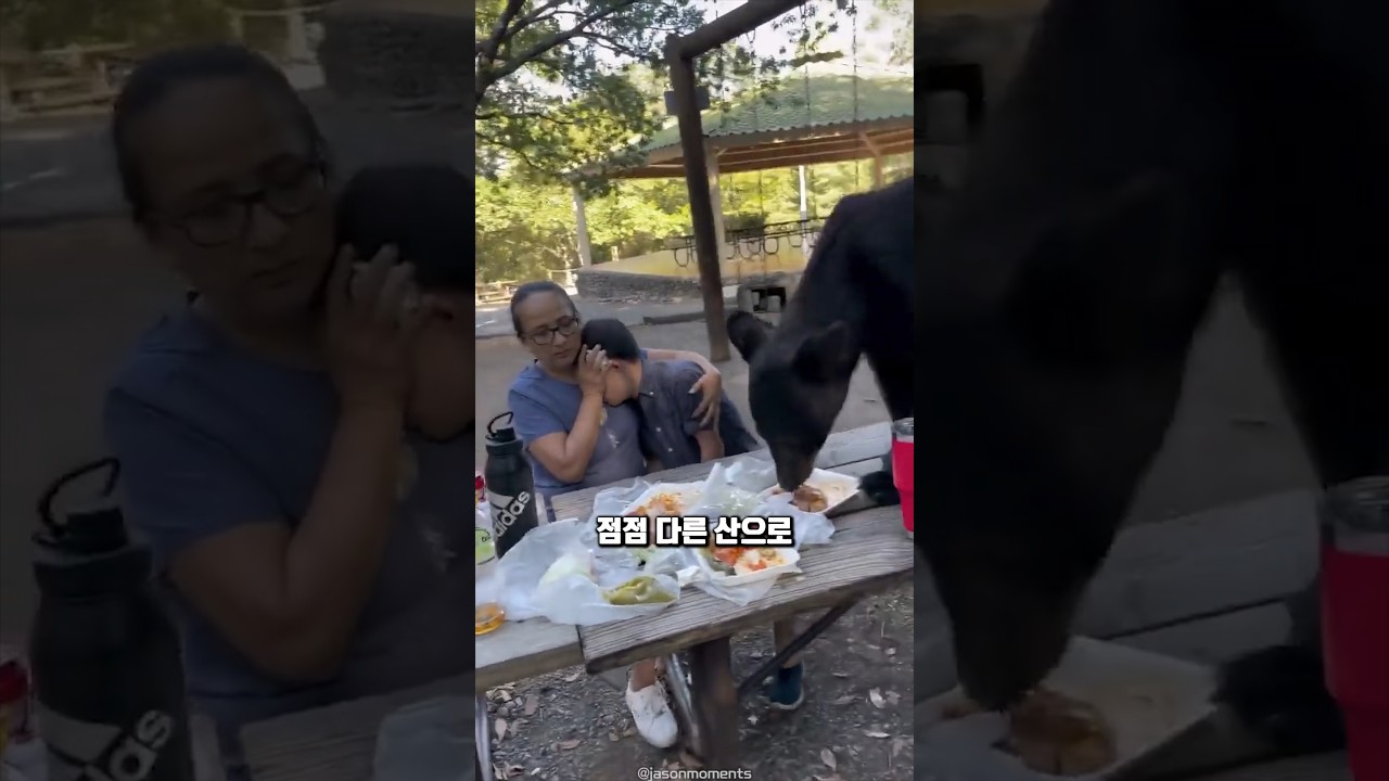 한국에서 반달곰을 마주쳤을 때