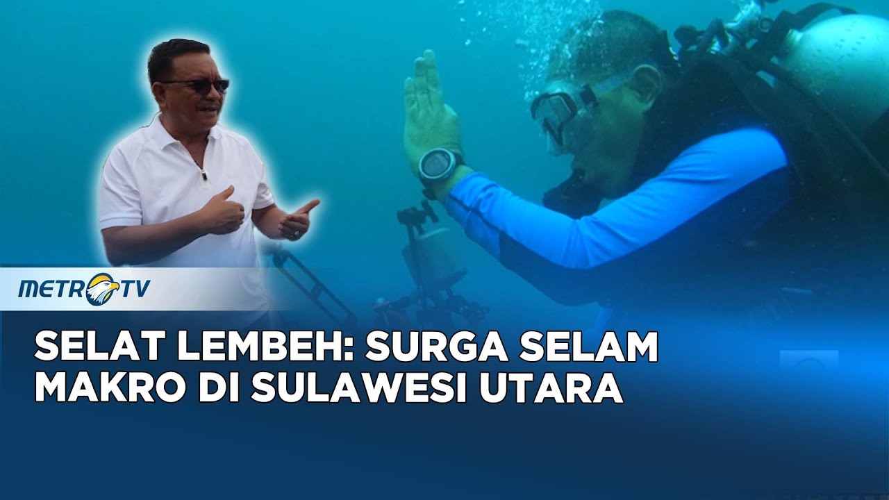 Selat Lembeh: Surga Bawah Laut Sulawesi Utara untuk Pencinta Selam Makro #journey