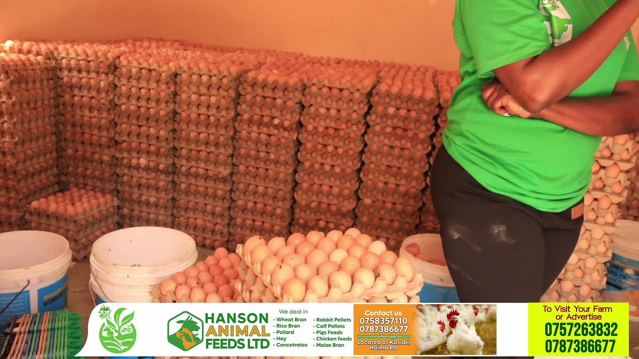 The Power of On-Farm Feeds: Better Nutrition, Higher Yields, Lower Expenses