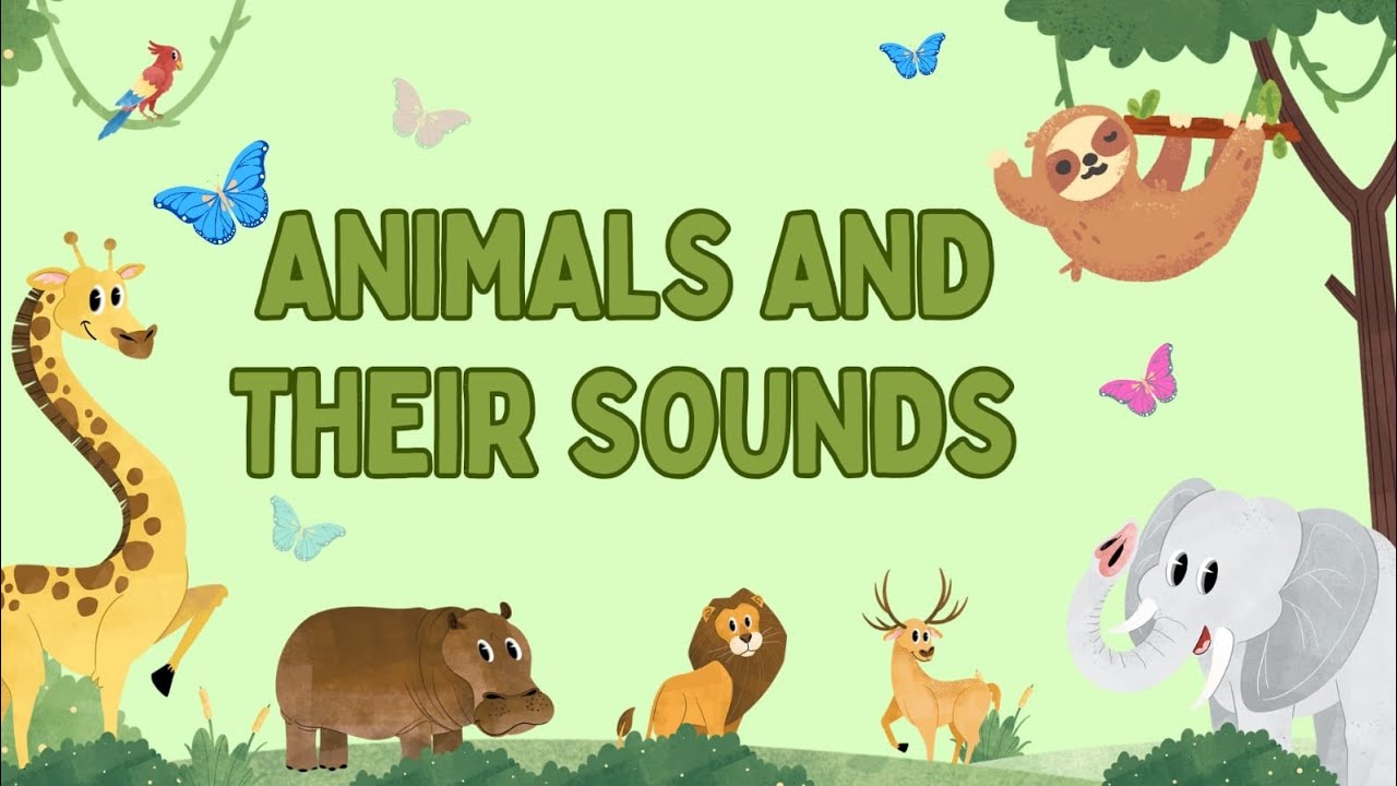 Animals and Their Sounds for Kids | Fun Learning Video