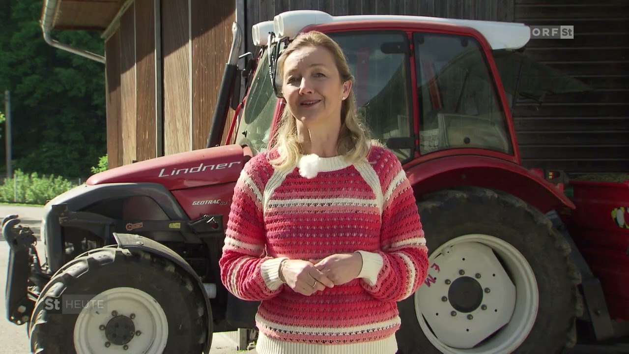 Steirische Landwirtschaft: Milchkuh-Stall