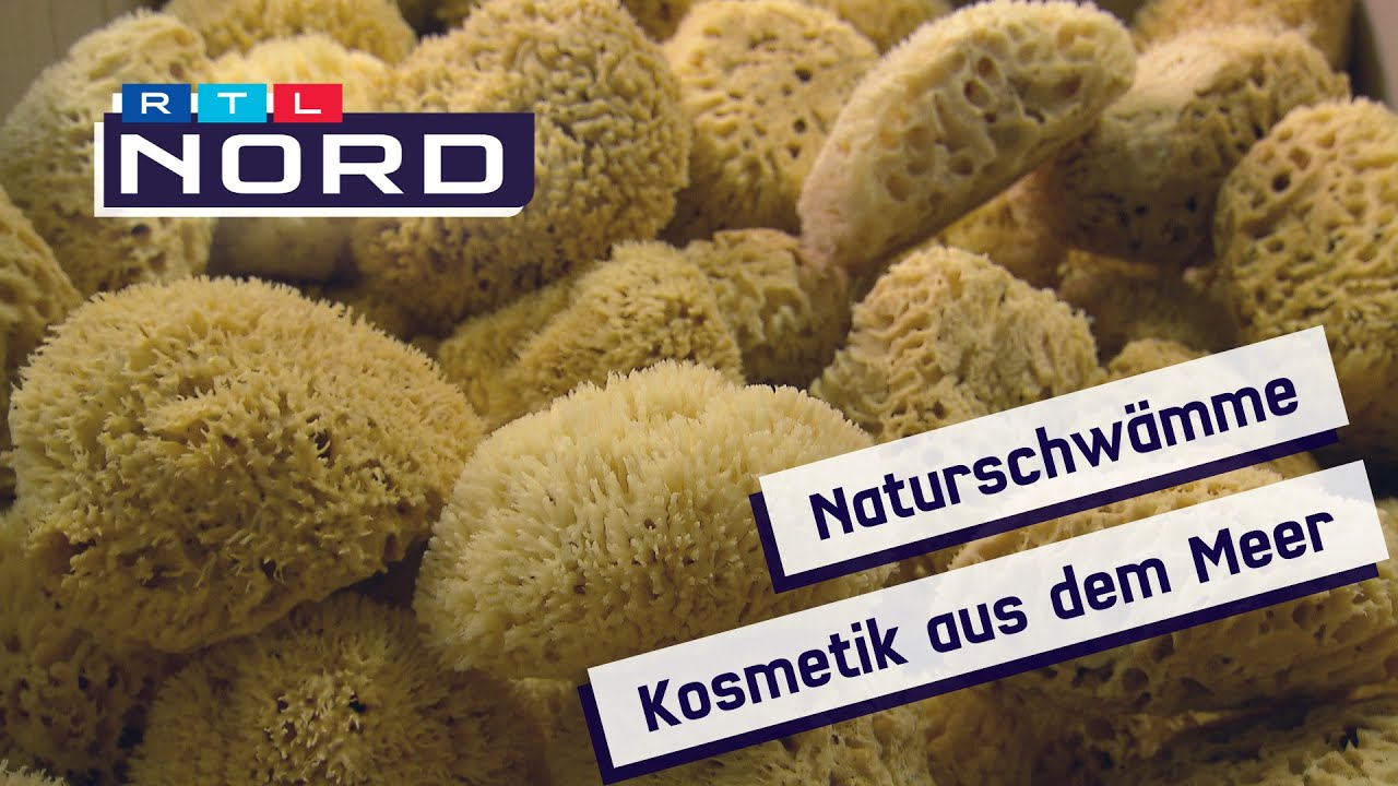 Badeschwämme aus dem Meer: Die Vorteile des Naturschwamms