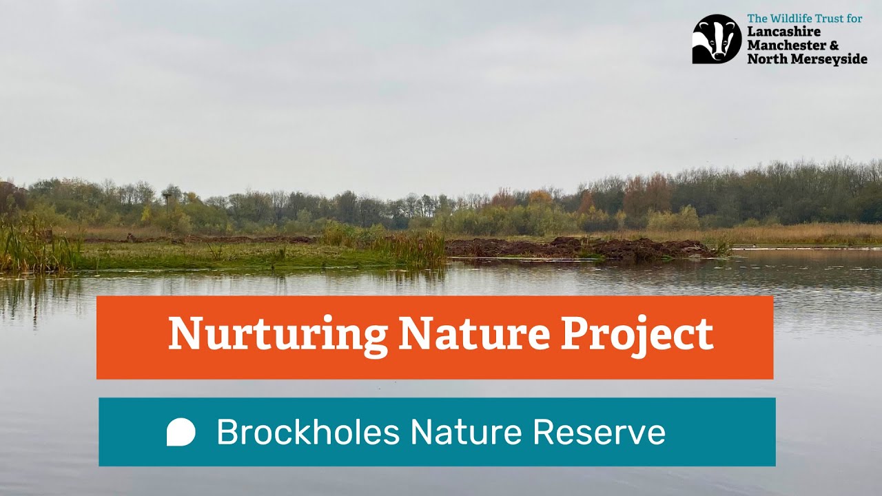 Nurturing Nature at Brockholes Project update