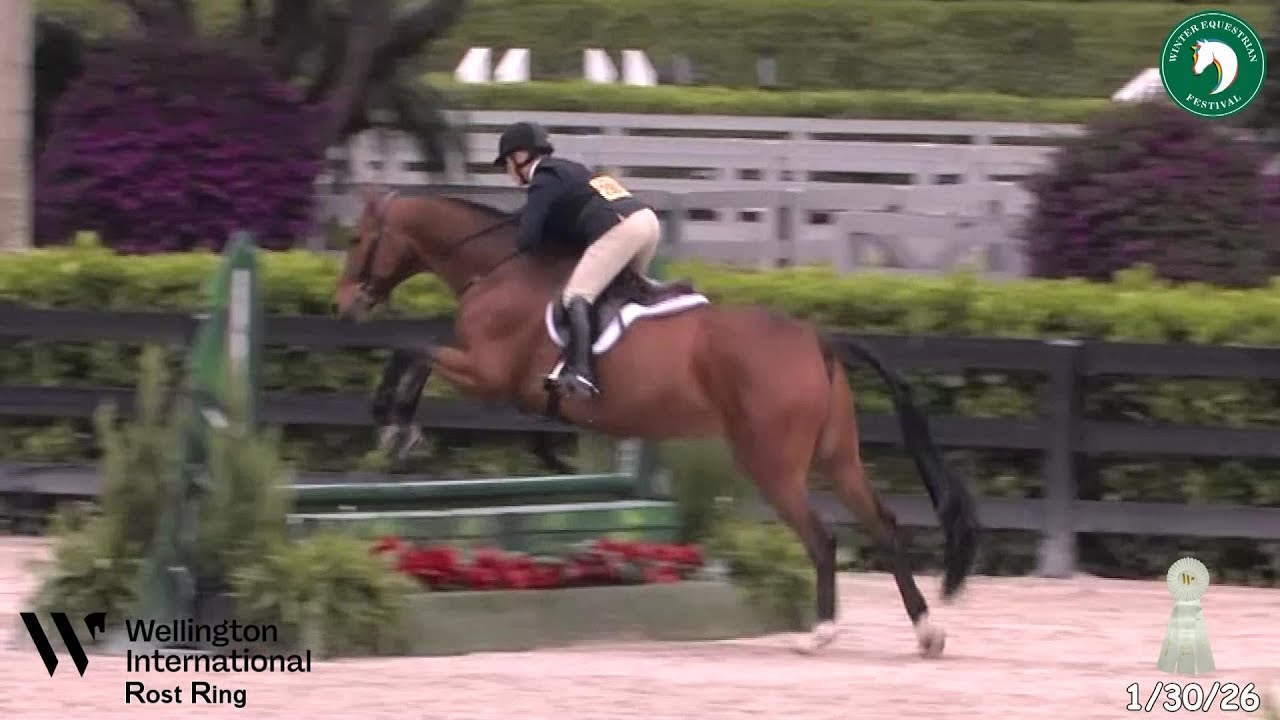 WEF #4 Low Adult Hunter CALI @ 30+- Sandy & Arthur- 1/30/26
