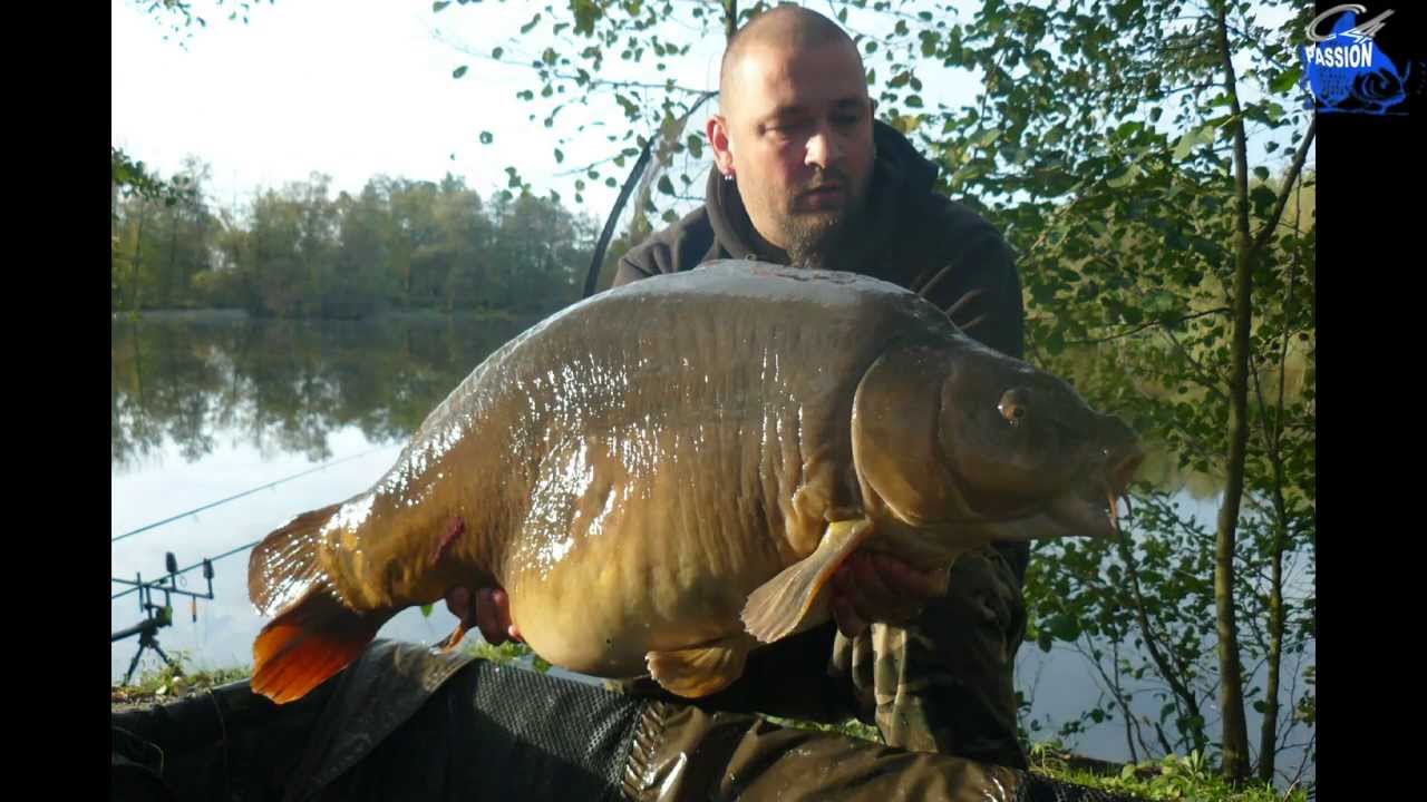 Peche de la carpes en Alsace