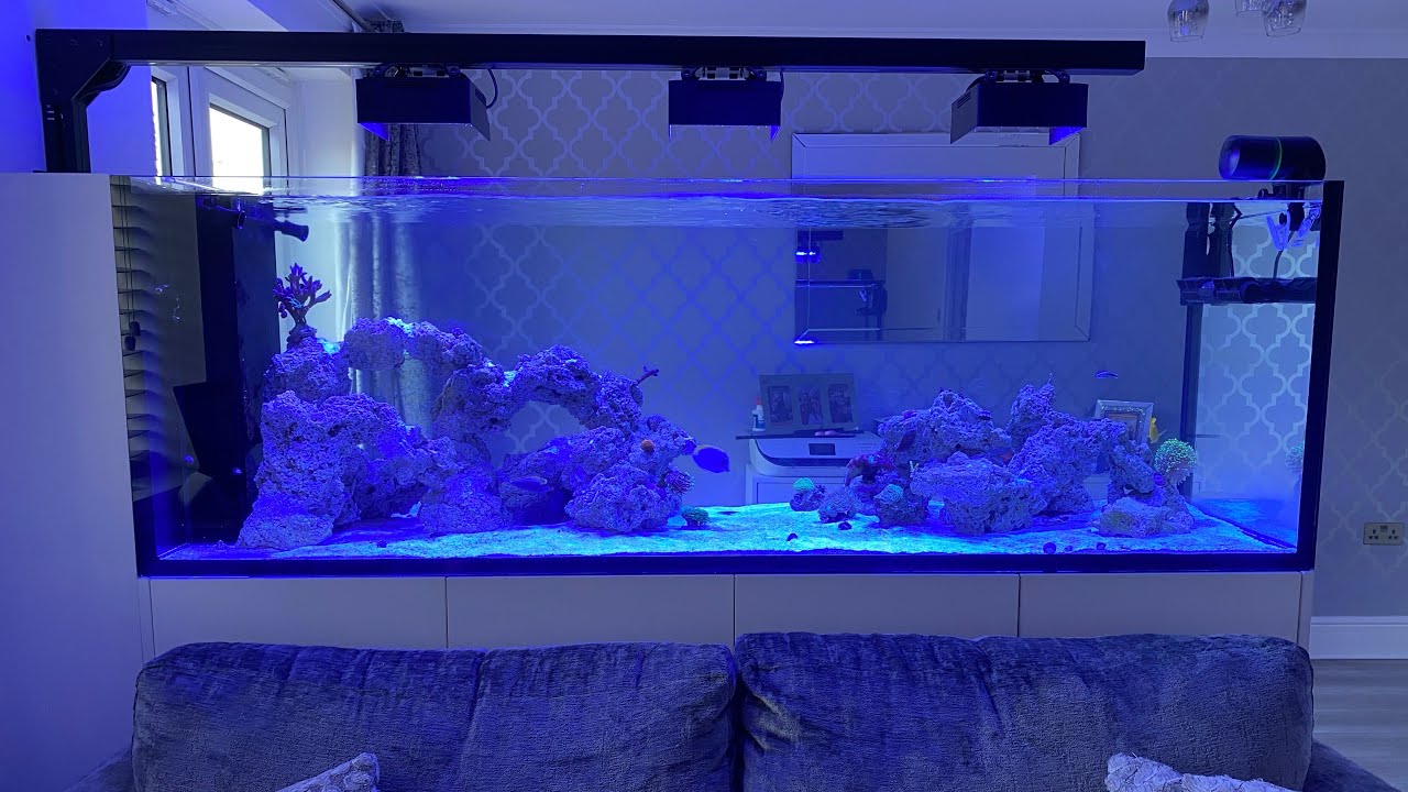 Waterbox peninsula 7225 rimless reef aquarium build 220 gallon. Ep22 waste/water change plumbing