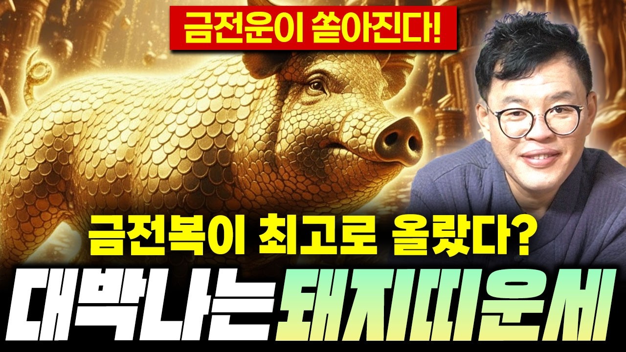 🐷2026년 신년운세 돼지띠 운세🐷 놓지면 평생 후회할 대운 개띠운세 /59년생 71년생 83년생 95년생 07년생 돼지띠 운세