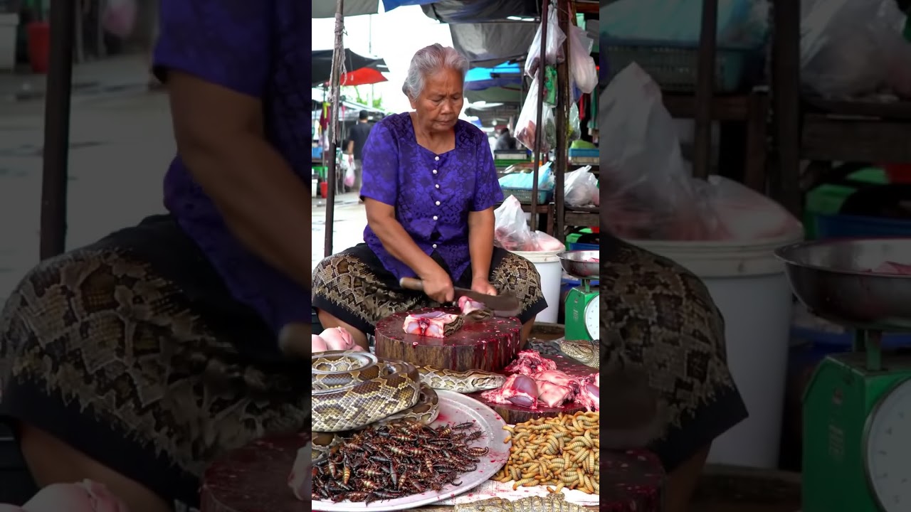 Wild Meet Market #seafood #food #fish #cooking #animalsmarket #meatmarket