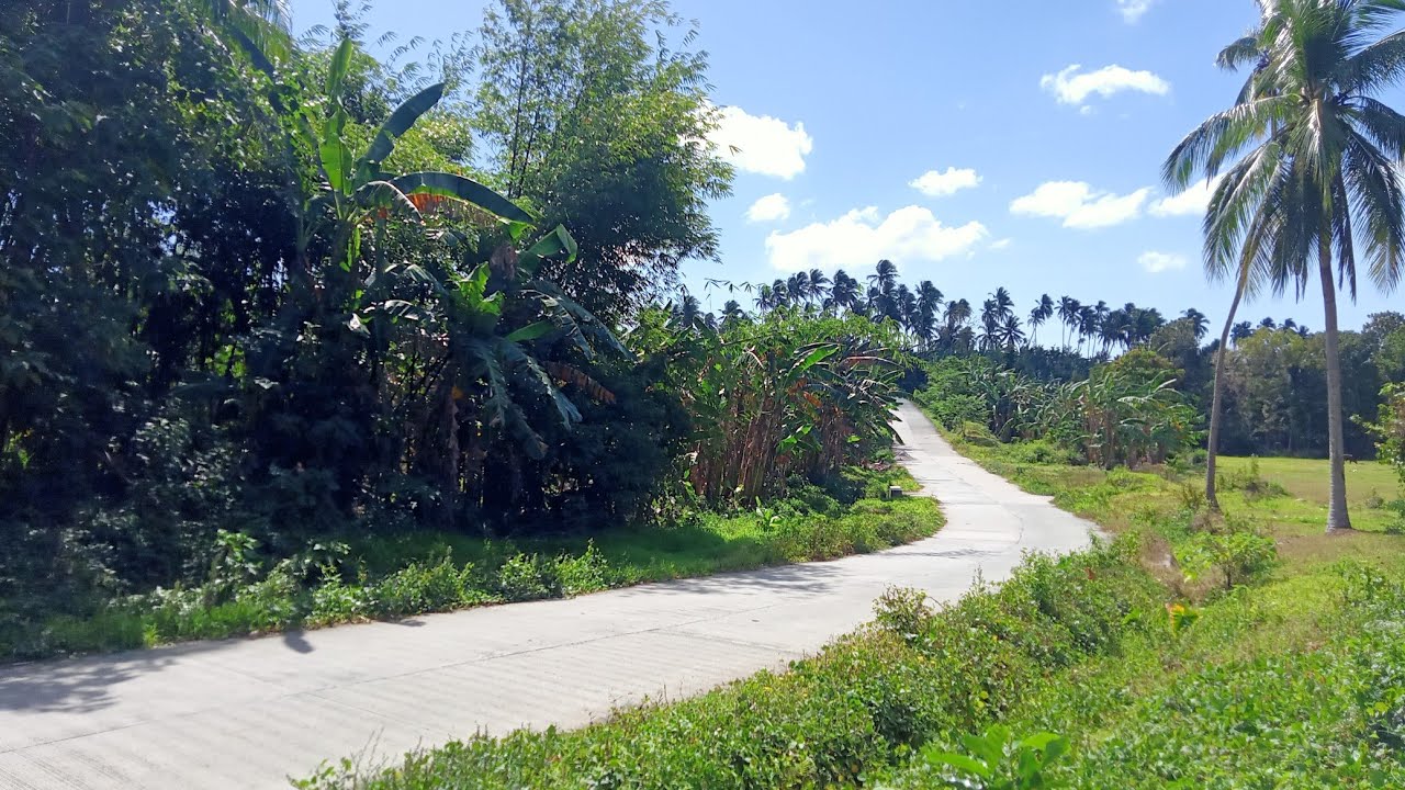 7 hectares farm for sale malapit sa mga sikat na hot spring camp Silva and hidden valley springs..