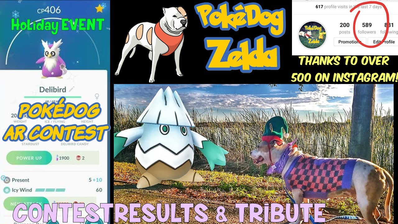 Pokemon GO Holiday Event(2018)Search for Shiny Delibird/New Gen 4/Instagram Pokedog Contest Results