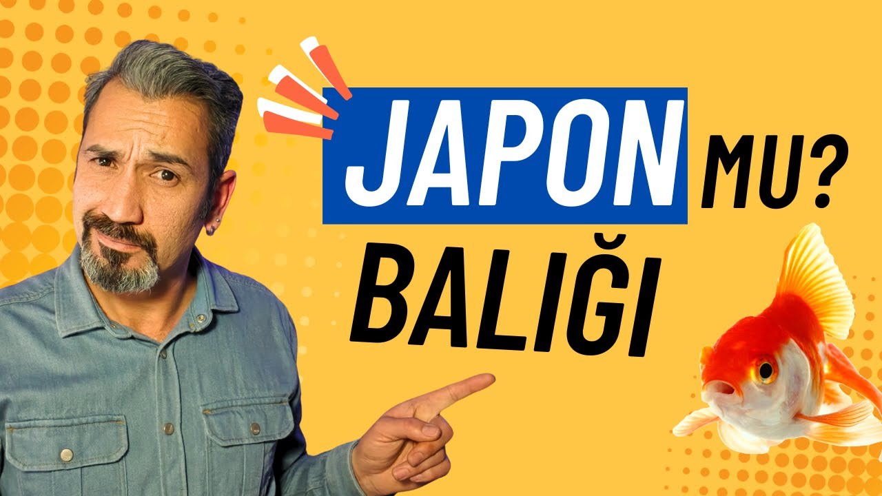 Japon Balığı Neden Uzun Yaşamıyor? | Doğru Bakım Rehberi (A’dan Z’ye)