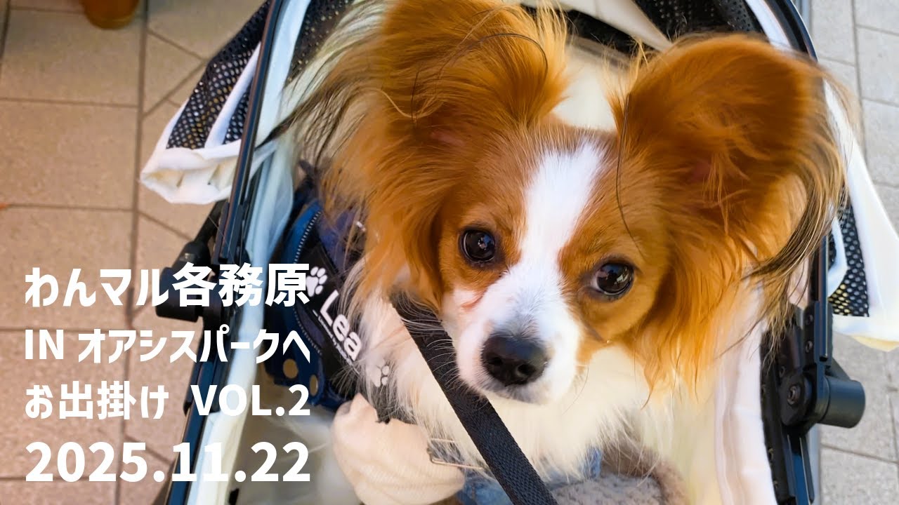 【犬イベント】【わんマル各務原】にお出掛け  Vol.2