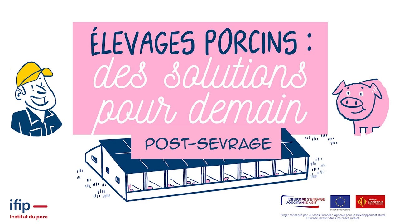 Post-sevrage des élevages porcins : des solutions pour demain