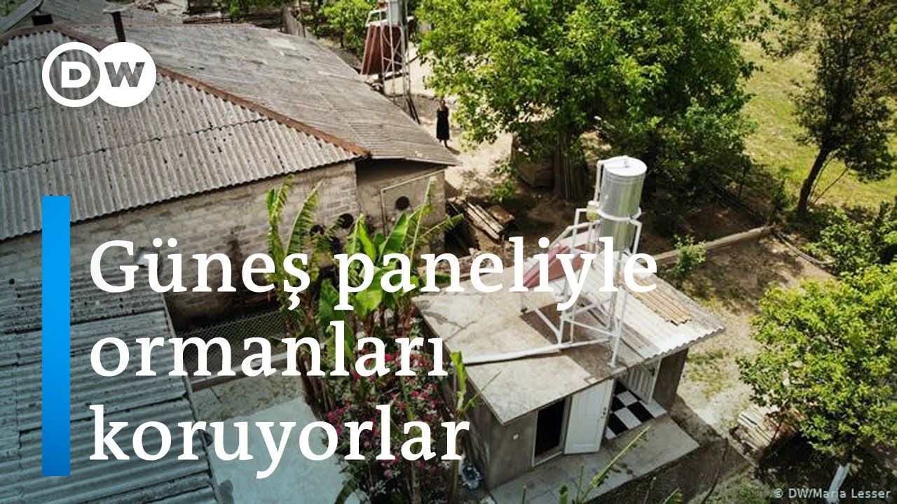 Gürcü köylüler güneş enerjisiyle ormanları koruyor - DW Türkçe