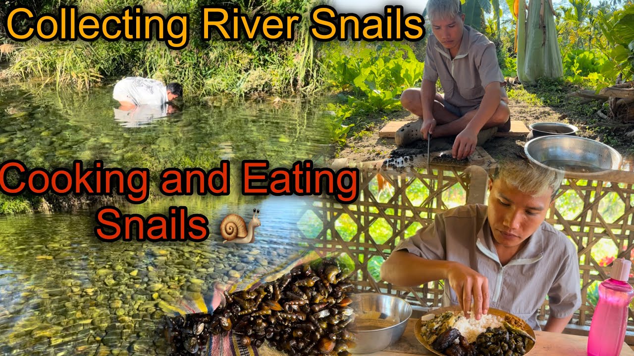 Collecting Cooking and Eating River Snails 🐌 